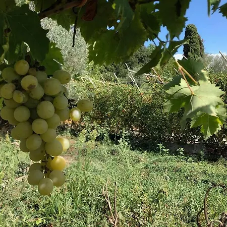 La Vigna Agriturismo 시에나