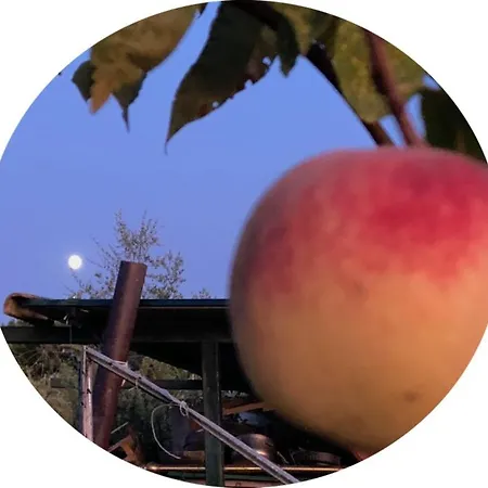 La Vigna Agriturismo 시에나