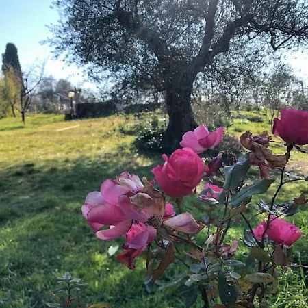 La Vigna Agriturismo