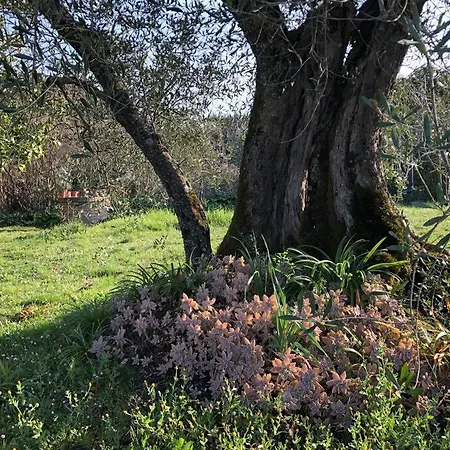 팜스테이 La Vigna Agriturismo *