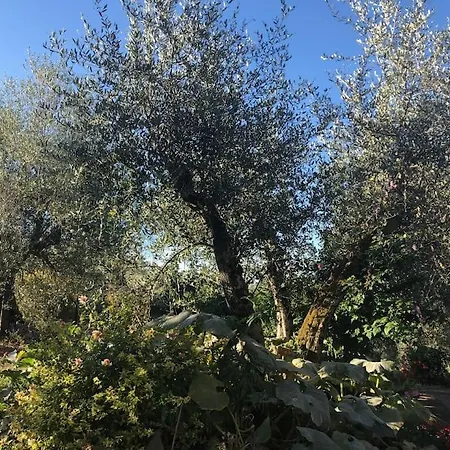 La Vigna Agriturismo 팜스테이