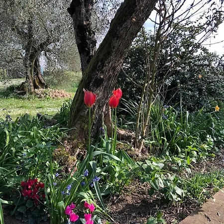 La Vigna Agriturismo