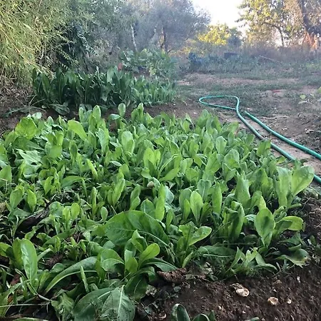 La Vigna Agriturismo