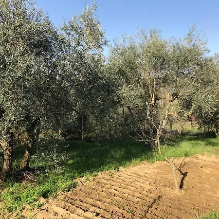 팜스테이 La Vigna Agriturismo 시에나