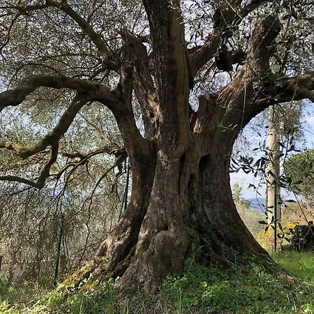 팜스테이 La Vigna Agriturismo *