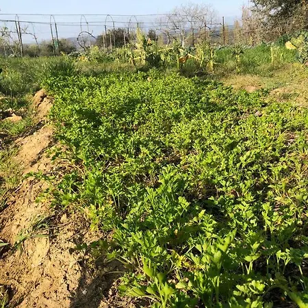 La Vigna Agriturismo 팜스테이
