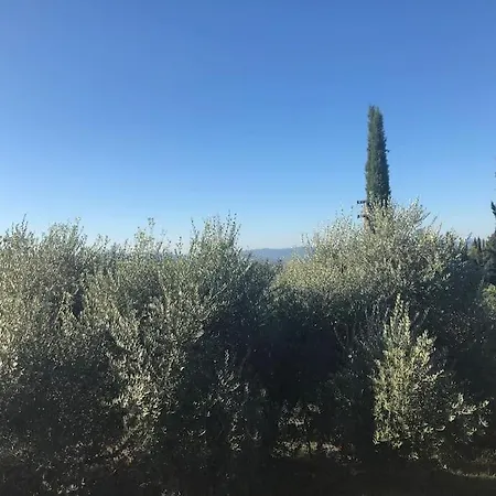 La Vigna Agriturismo 팜스테이 *