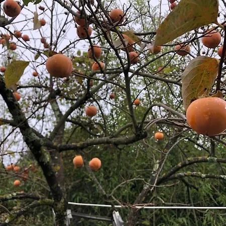 La Vigna Agriturismo 팜스테이 *
