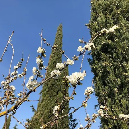 La Vigna Agriturismo 팜스테이