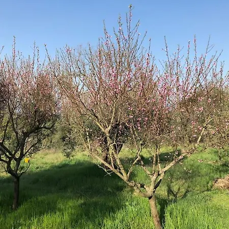 팜스테이 La Vigna Agriturismo 시에나
