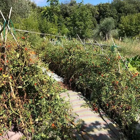 La Vigna Agriturismo 팜스테이 시에나